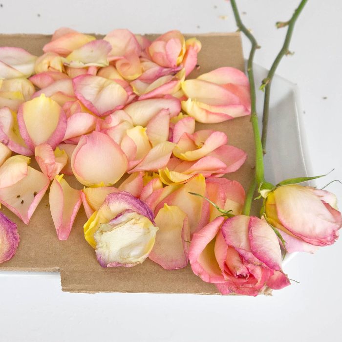 que faire avec des petales de roses comment faire secher une rose chez soi à l air libre pour embaumer son interieur
