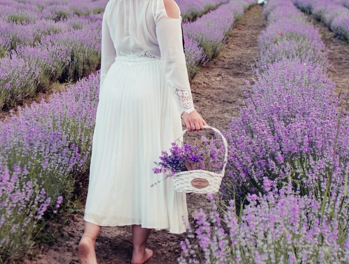 une femme dans les champs de lavande bricolage ave de la lavande robe blanche et grande chapeau