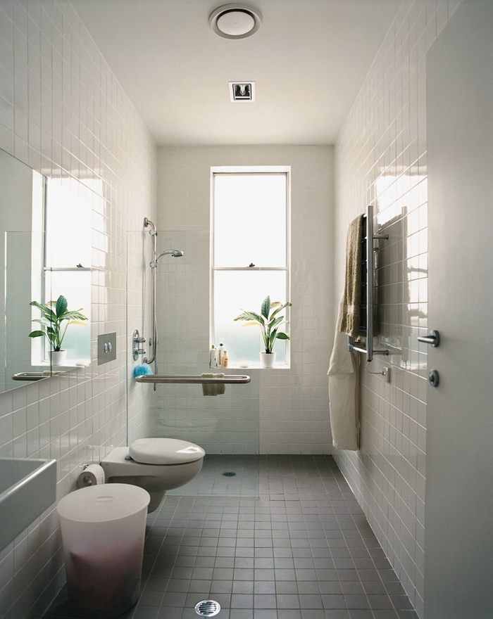 aménager petite salle de bain plante verte douche inox séche linge carrelage blanc cuvette wc suspendue