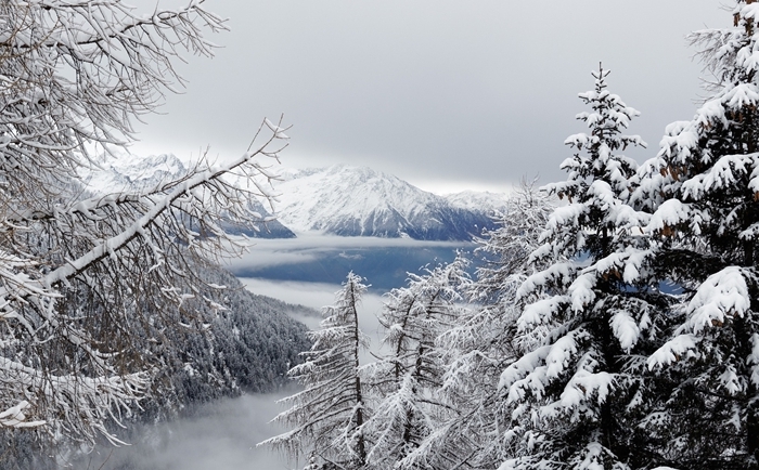 arbres enneigés de noel nature pure sauvage paysage montagne vue d en haut lac glacé sommet