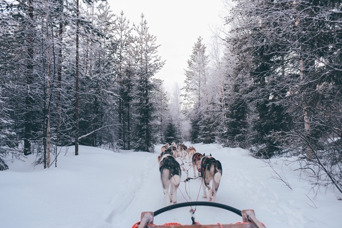belle image paysage hiver nature montagne enneigee traineaux huskys laponie aventure photographie neige