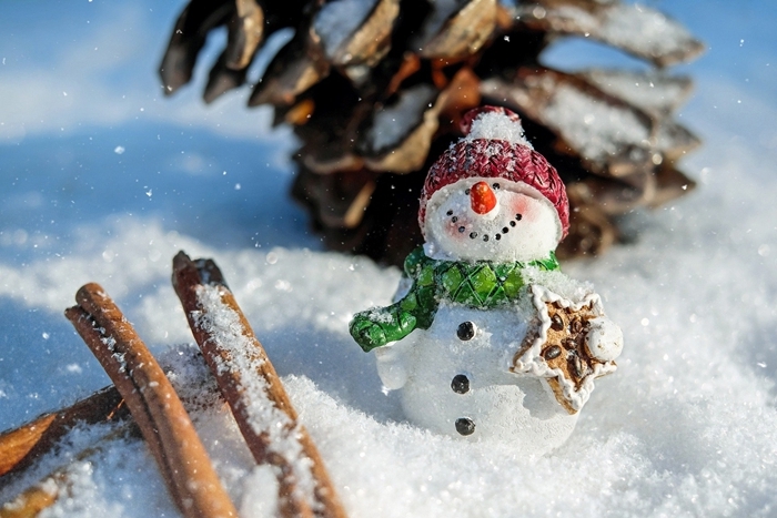 bonhomme de neige image hiver rayons de soleil pommes de pin bâton cannelle figurine noel déco