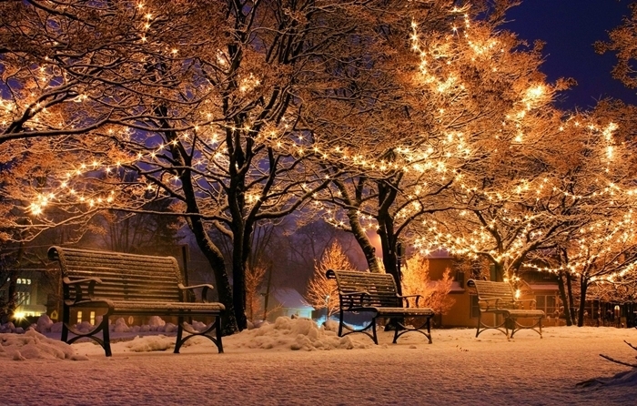 fond d écran paysage lumières festives décoration de noel extérieure arbres guirlande lumineuse