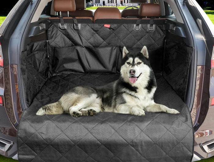 husky dans un coffre de voiture avec une couverture de protection en tissu