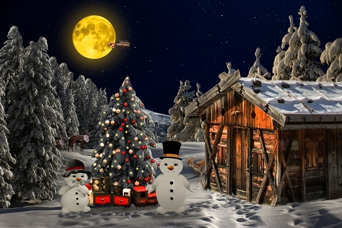illustration magie noel nuit ciel nocturne pleine lune belle image paysage abres de noel neige