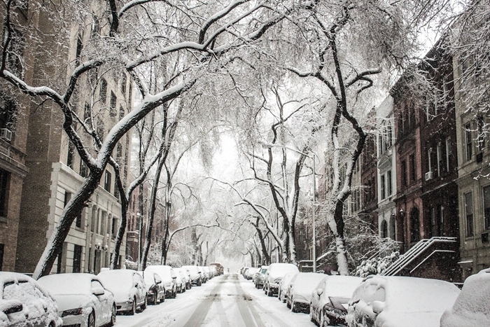 image d hiver urbain rue enneigée arbres bâtiments véhicules couvertes blancheur saison hiver