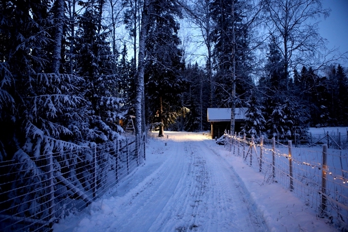 image hiver nature sauvage nuit ciel bleu clôture bois guirlande lumineuse décoration noel extérieure