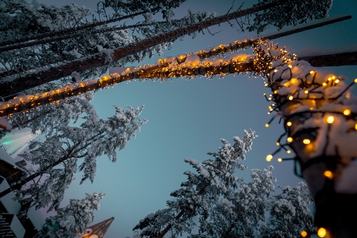 lumière festive décoration extérieure forêt sapins enneigés arbres photo de noel guirlande lumineuse