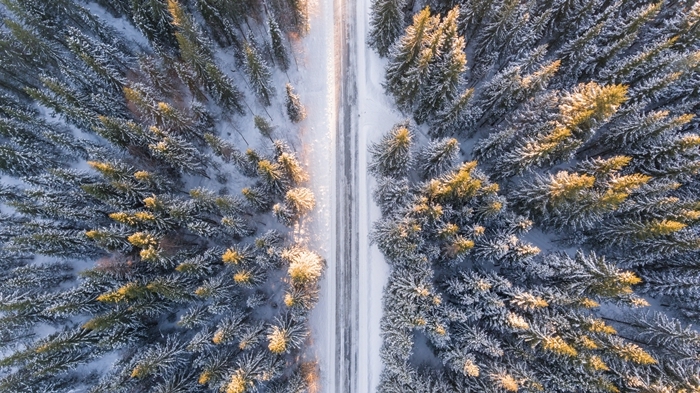 paysage nature montagne enneigée photographie drône vue d en haut sapins noel chemin neige