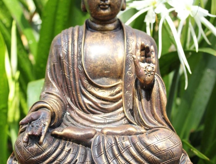 statue de bouddha de la protection devant des plantes vertes la main levee