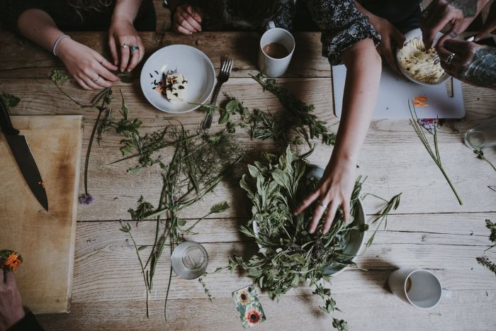 comment consommer la tisane table en bois clair massif plantes vertes herbes