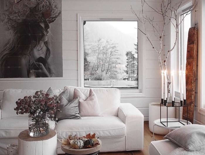 Salon scandinave cocooning : les secrets à l’aide desquels j’ai créé