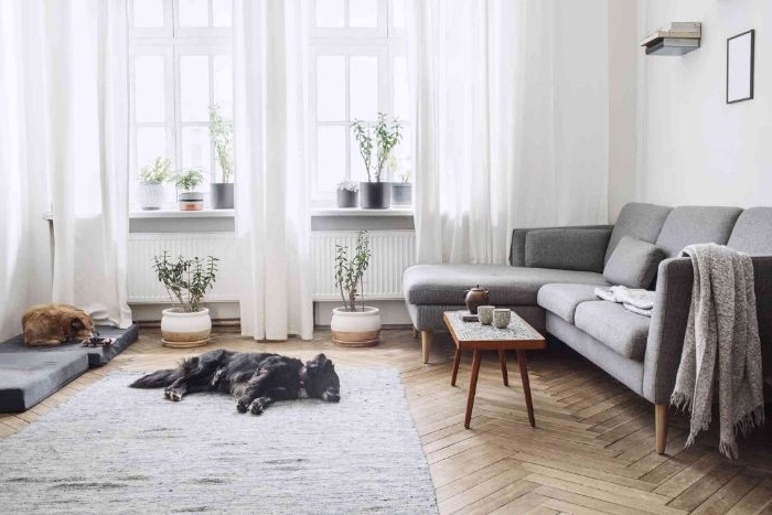 idee deco salon cosy minimaliste avec parquet chevron tapis gris canapé gris scandinave multitude de pots de fleurs rideaux blanches