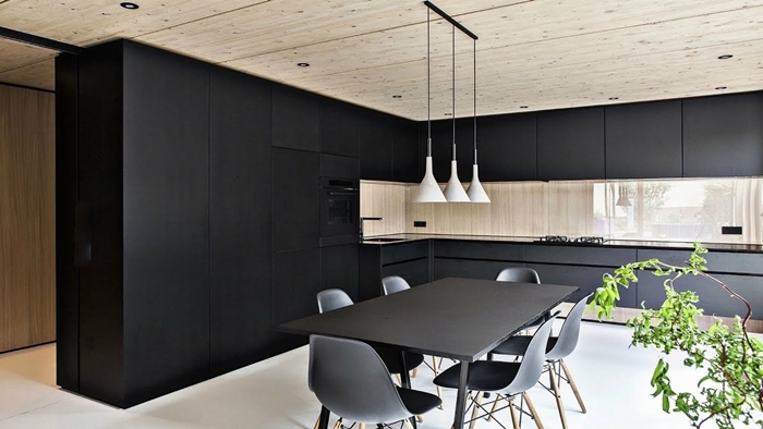 plafond bois spots led armoires noir mat cuisine équipée bois table à manger noir mat plantes vertes