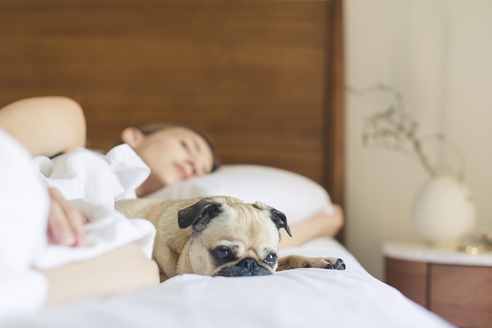 qualité bien dormir chambre à coucher choix matelas confort efficacité garantie durabilité sommeil