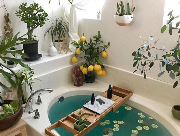 ambiance salle de bain baignoire blanche aux huiles essentielles plantes salle de bain tropicales murs sdb blancs