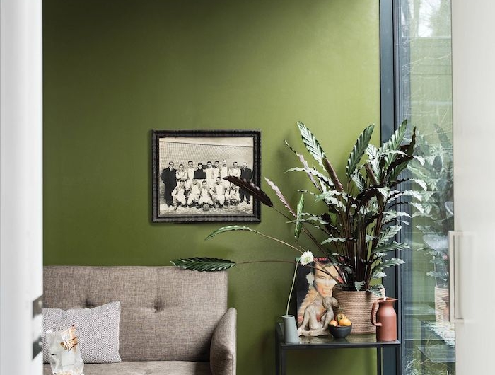 deco murale tendance un mur en couleur olive verte avec un canapé brun et des plantes vertes a coté d une grande fenêtre