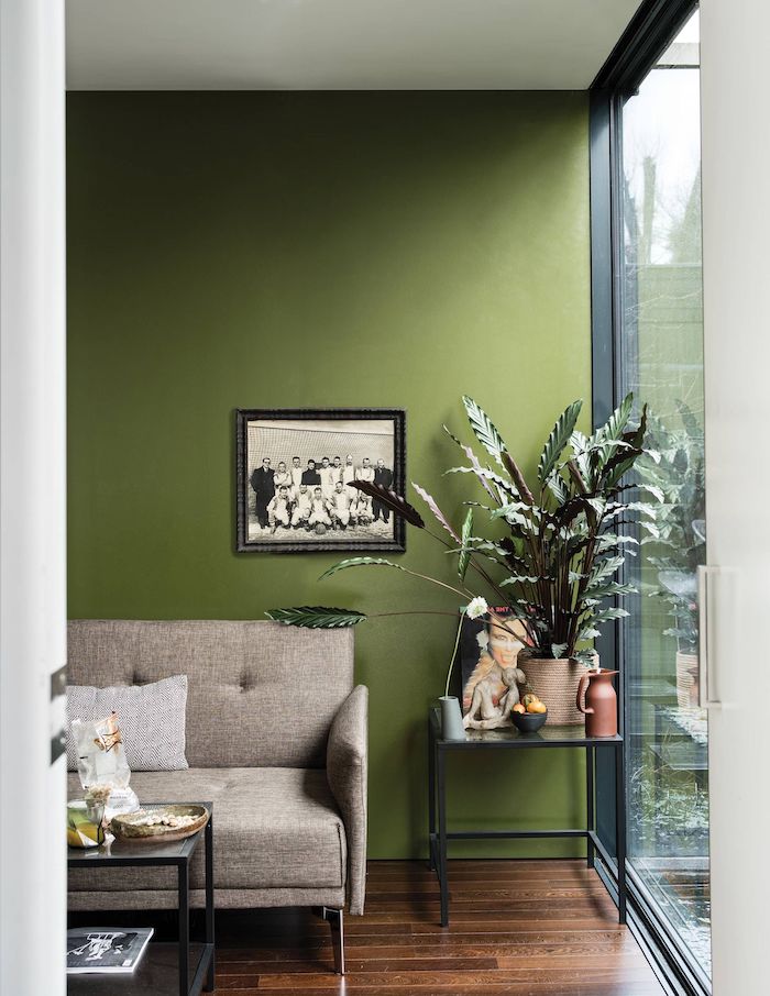 deco murale tendance un mur en couleur olive verte avec un canapé brun et des plantes vertes a coté d une grande fenêtre