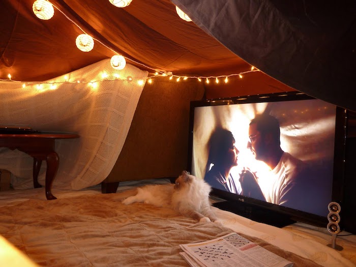 idée originale saint valentin une tente fait des drapes dans la salle de sejour un chat devant la tele