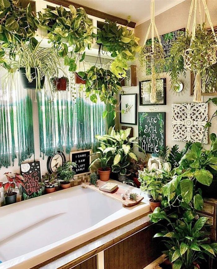 inspiration salle de bain style jungle avec plusieurs plantes vertes en pot baignoire blanche à revêtement de bois murs gris