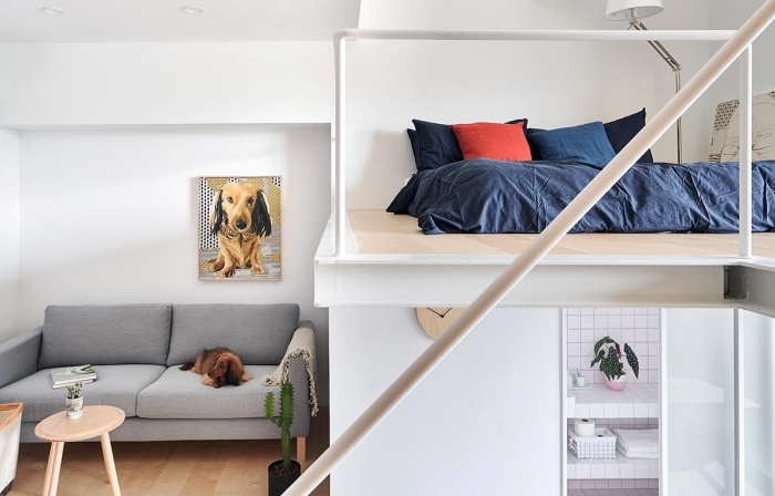lit mezzanine studio linge de lit bleu foncé housse oreiller rouge peinture chien canapé convertible gris