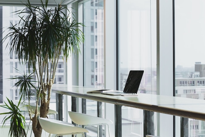 office space avec une jolie vue plantes vertes pour le bureau chaise haute