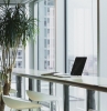 office space avec une jolie vue plantes vertes pour le bureau chaise haute