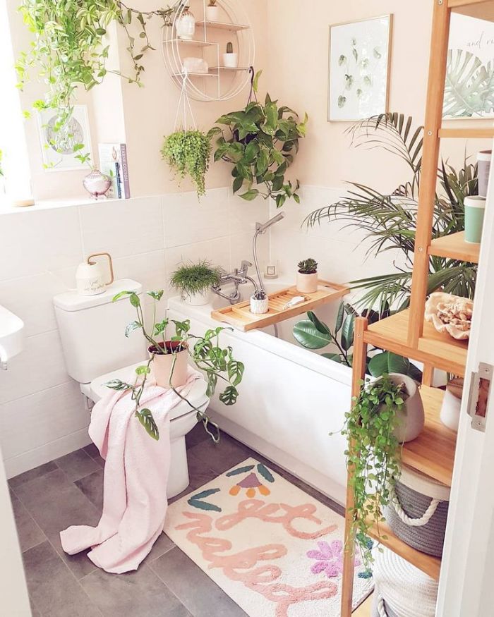 plantes vertes salle de bain gris et blanc avec baignoire blanche posée murs rose pale etagere salle d ebain bois