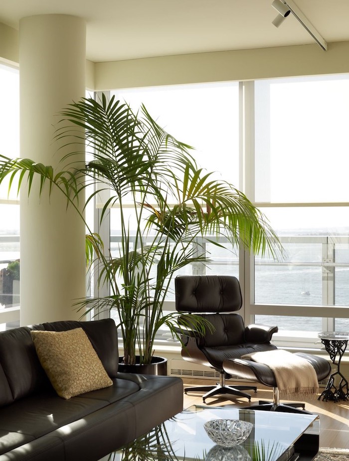 salon tendance 2021 avec des meubles en cuire et des lignes claires une grande plante verte et des beaucoup de lumière