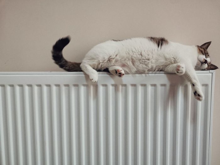astuces comment purger un radiateur soi meme étape par étape pour réduire les pertes d énergie et rester au chaud