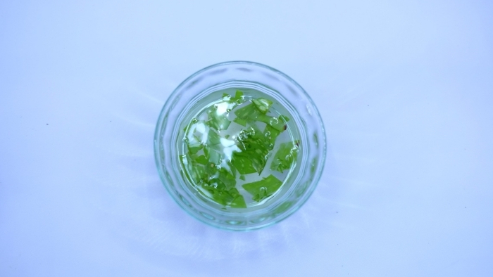 comment conserver l aloe vera recette boisson facile avec aloe vera plante médicale eau jus