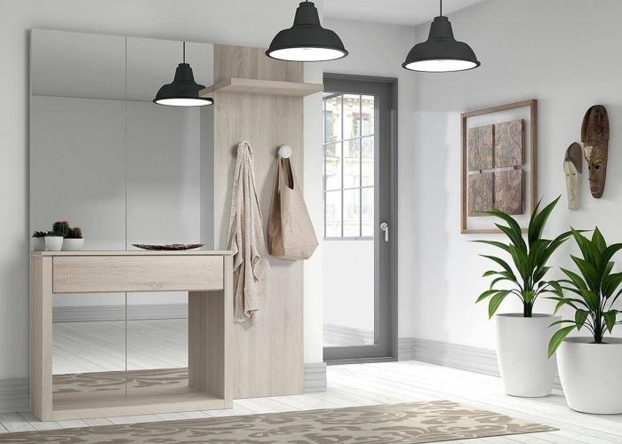 couleur pour une entrée accueillante murs blancs lampe suspendue noir mat miroir meubles bois clair