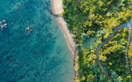 danang vietnam plage avec ocean foret vert