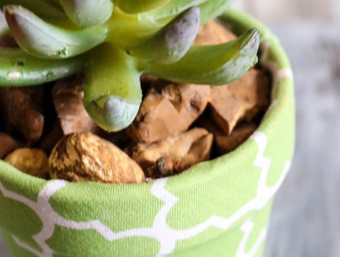 décoration avec des pots de fleurs eveloppée dans une tissue en verte avec un succulent planté en dedans