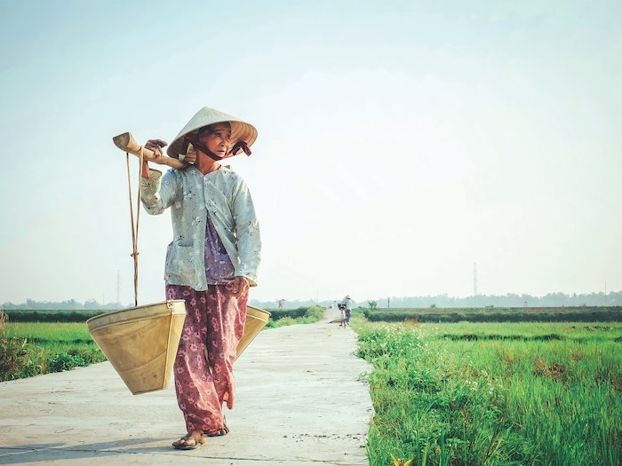 femme age qui marche champes vertes vietnam