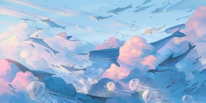 fond bleu pastel avec des touches de rose thème fonds marins mer nuages animaux