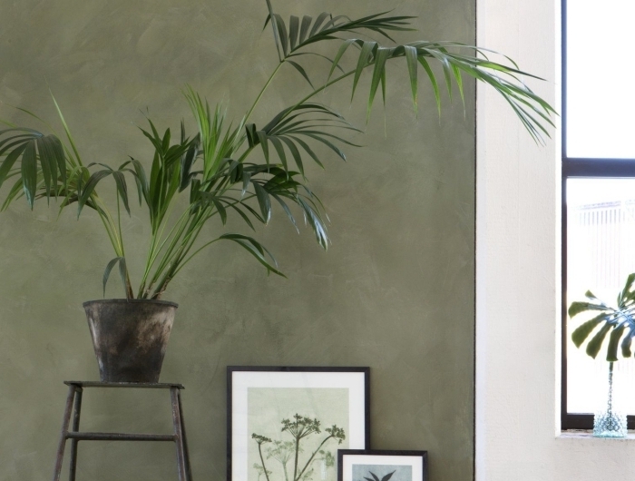 mur kaki peinture à effet plante verte vase turquoise art peinture cadre noir déco salon vert