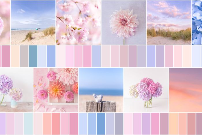 palette de couleurs pastel diverses teintes de pastel bleu rose mauve orange vert d eau et autres
