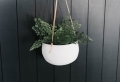 Création avec pot de fleur : 40 + idées pour incorporer les plantes vertes dans sa maison