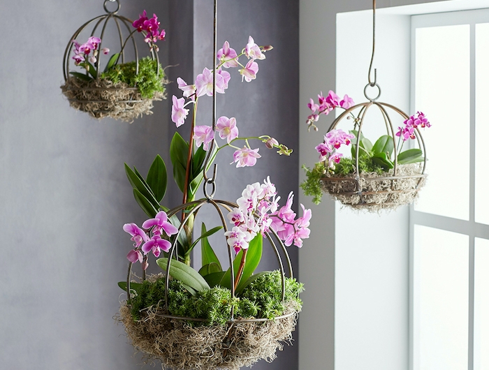 suspension pour plante en forme ronde décoré avec de la paille et rempli des orchides