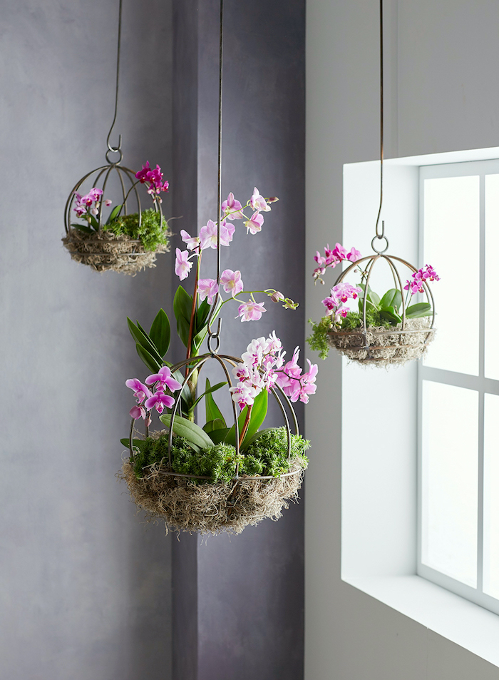 suspension pour plante en forme ronde décoré avec de la paille et rempli des orchides