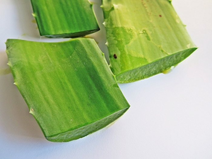 utilisation aloe vera pour la peau extraction gel feuille verte plante médicale maison