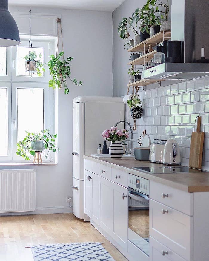 aménager une petite cuisine fermée avec des maubles blanches et plantes vertes pendantes