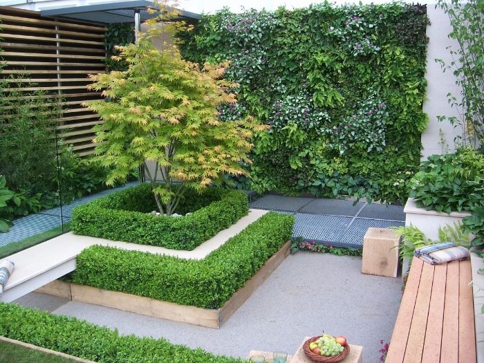 banc de bois sur une terrasse aménagée mur vegetal exterieur et buis decoratifs espace vert maison exterieur