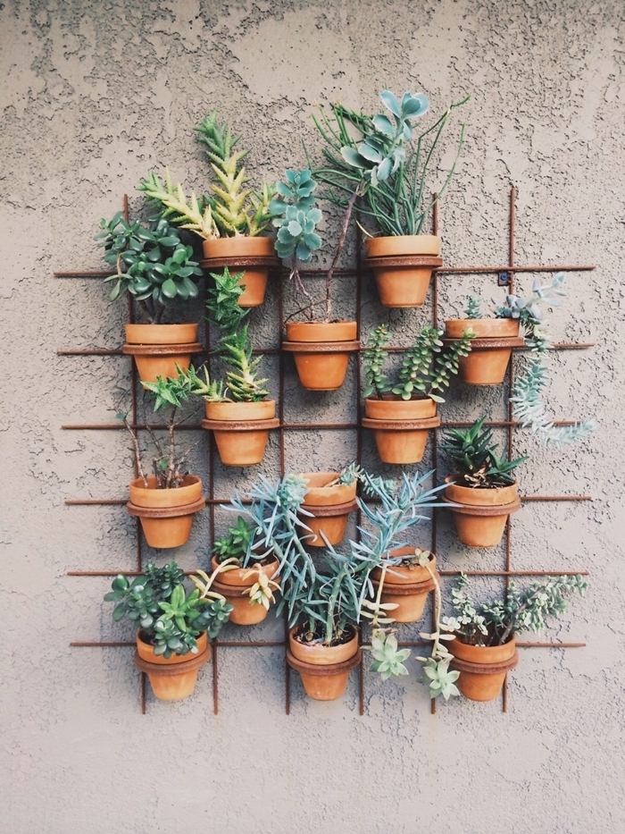 design petit jardin avec mini pots de fleurs terre cuite succulente mur végétal extérieur sur grillage