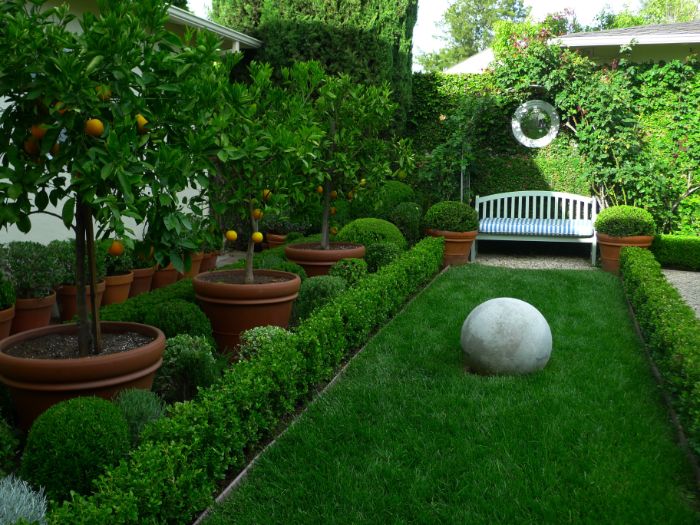 exemple aménagement jardin extérieur avec gazon banc de bois buis et mur cloture végétal decoration verte