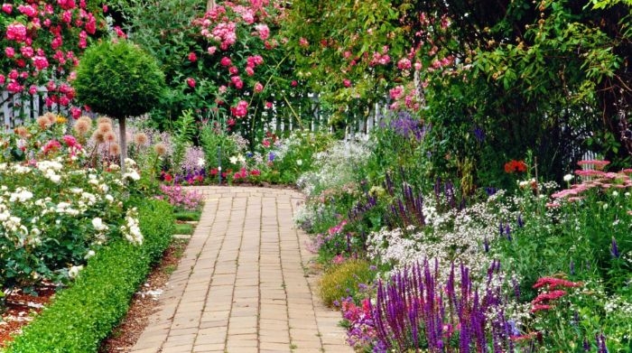 exemple de jardinage et aménagement paysager parterre de fleurs des deux cotés d un chemin de jardin buis de roses cadre naturel sauvage