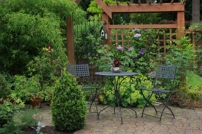 idee deco jardin avec végétation verte sauvage chaises et table métalliques arbustes vertes fleurs grimpantes