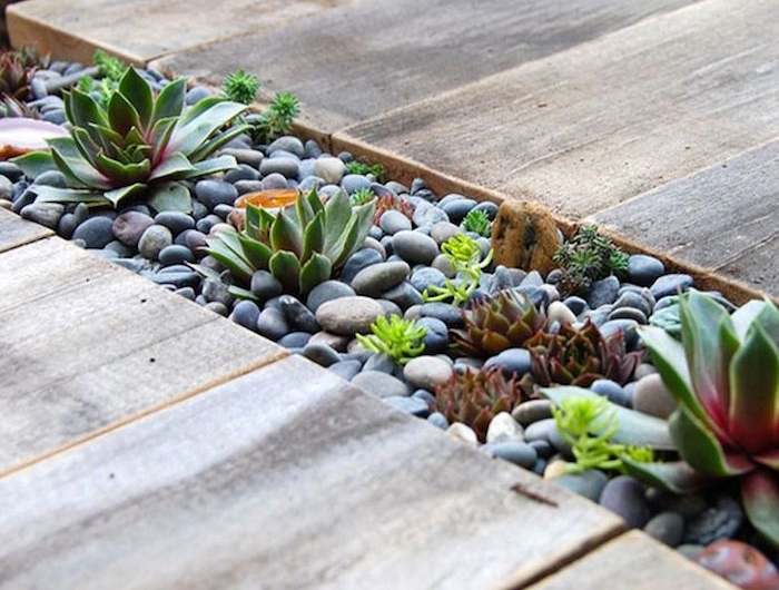 idee deco jardin gravier avec des galets et succulent entre deux surfaces en bois