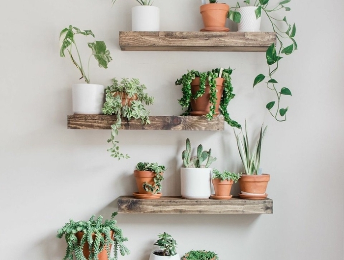 idée comment créer un mur végétal avec étagère diy planches bois mini pots fleur terre cuite succulentes